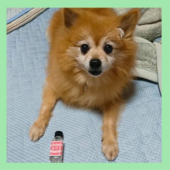 6bf8273f 07a7 435a 95f0 33e9ed3b48d4 1531399214902