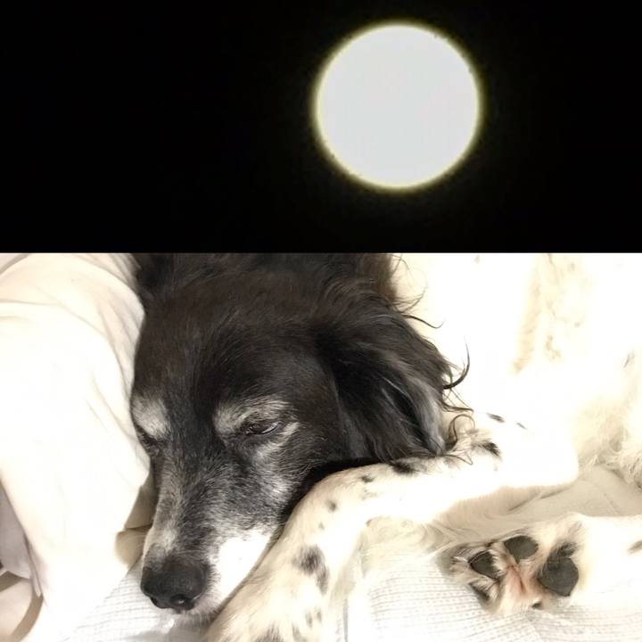 6bf82dc3 42d9 4185 95f1 70eaa965d599 1537886102109