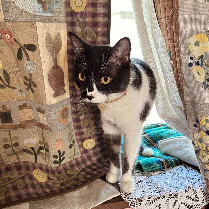 6bf84671 a31a 460c 90b0 5a17c268e6c8 1767057296870