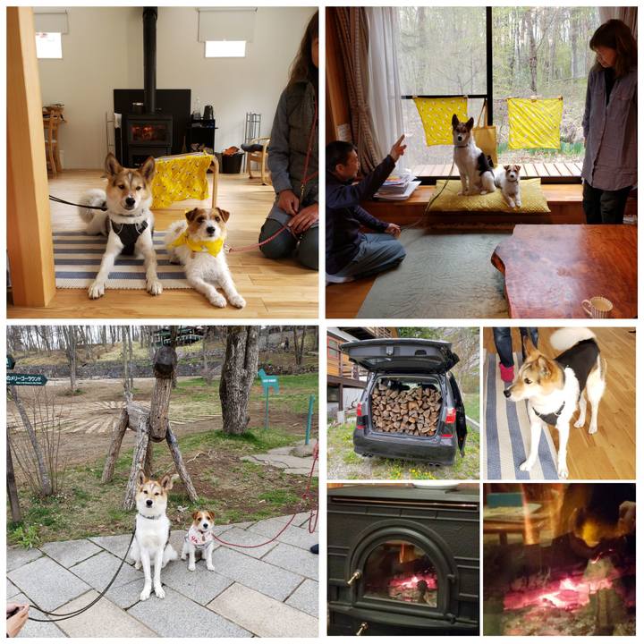 6bf84a7d 1c90 490c 965f 66459a840468 1556540264554