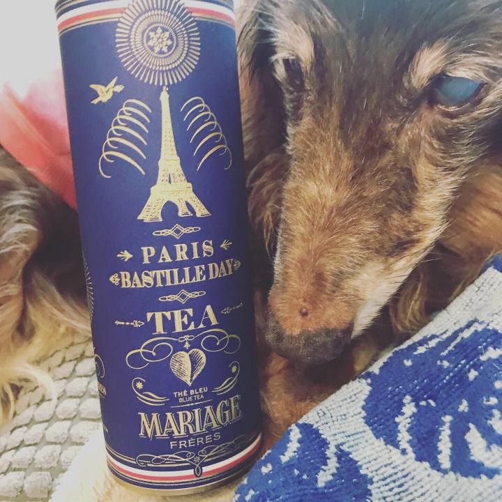 6bf86890 4094 4873 9eac 1596490266a3 1563082281627