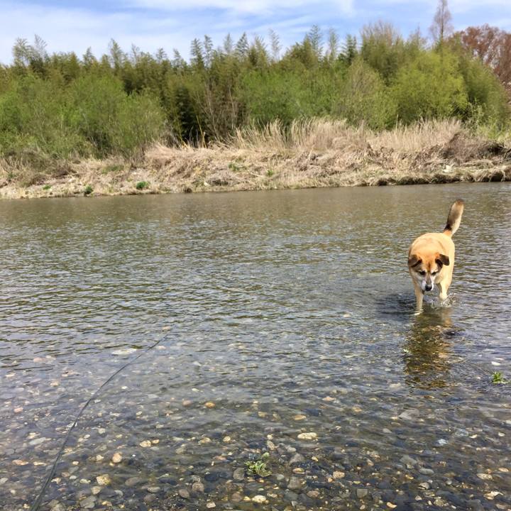 6bf88b8b 81c5 4e18 9306 6bf9fd1aca85 1555039997906