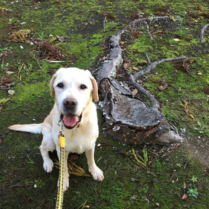 6bf8993a a54c 46ee 98c0 ae398960f2bb 1570359863235