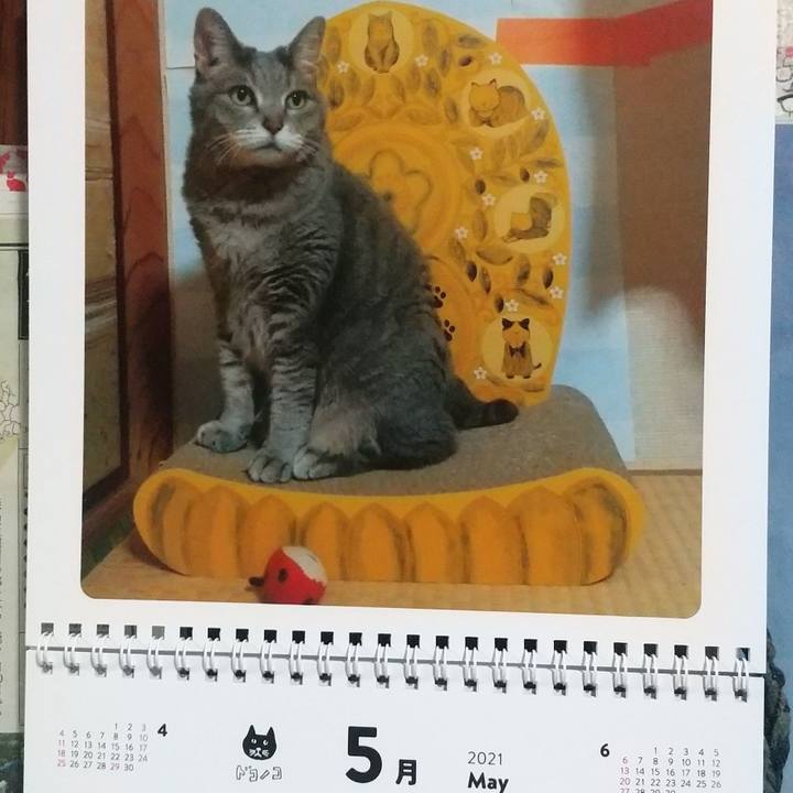 6bf8de65 c31c 440e 86c7 ab2533a627ff 1619833996770