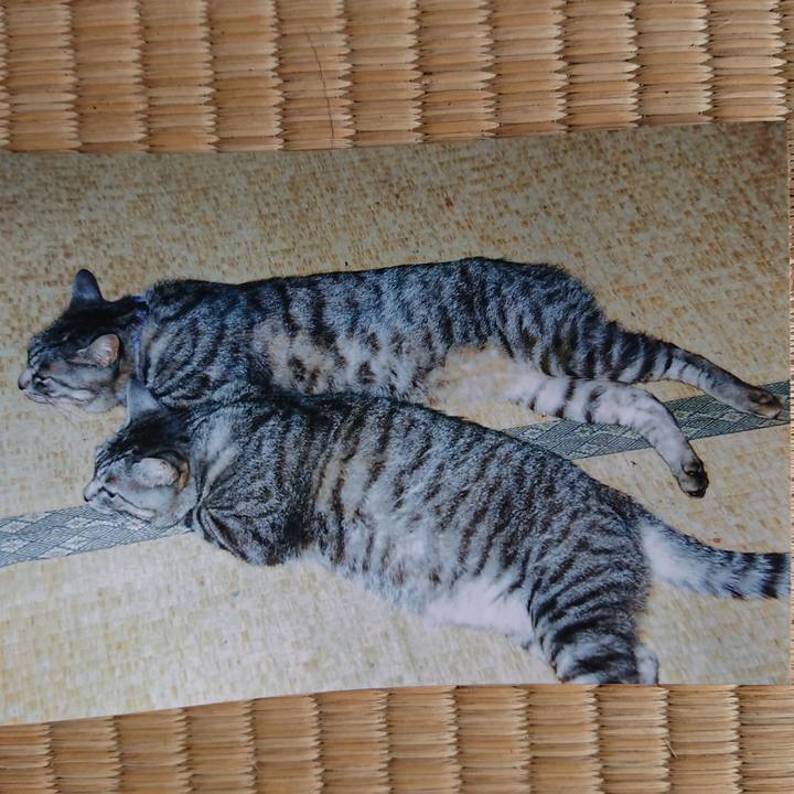 6bf90673 2f8e 4145 93e2 a27bed8e9b85 1662087600595