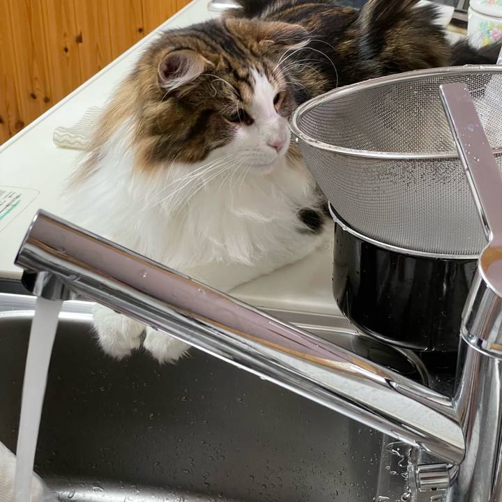 6bf920f6 0f52 4a03 8ed6 b3d0b08e3a67 1644270774060