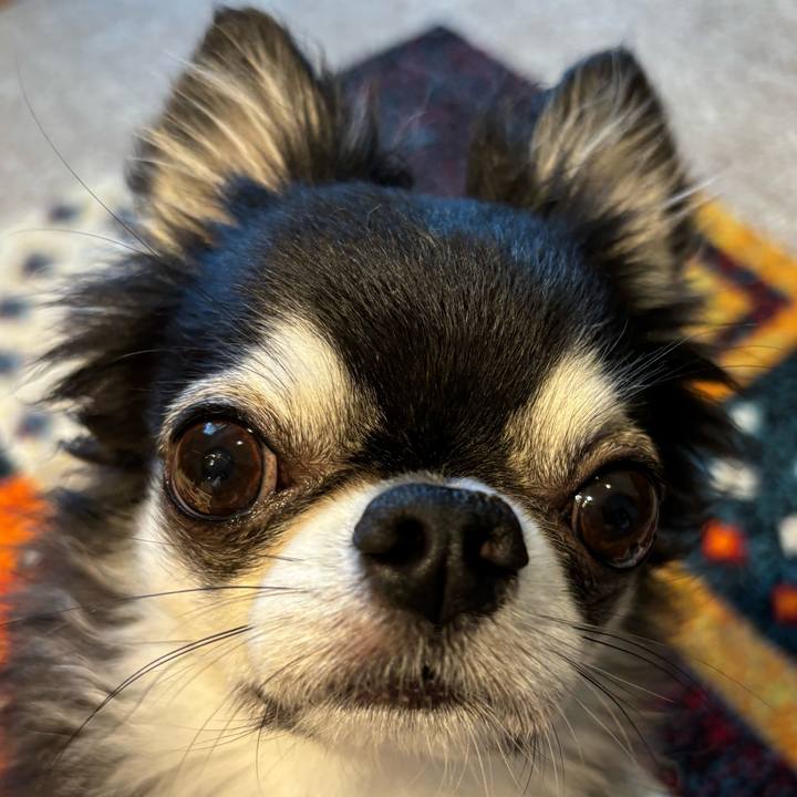 6bf96e1f 2f08 44e5 ab2f 2fa436608ab9 1721517589255