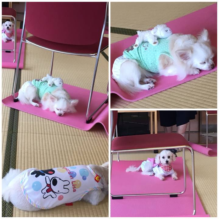 6bf9746d c230 4967 8833 e3f8df00a853 1537524200345