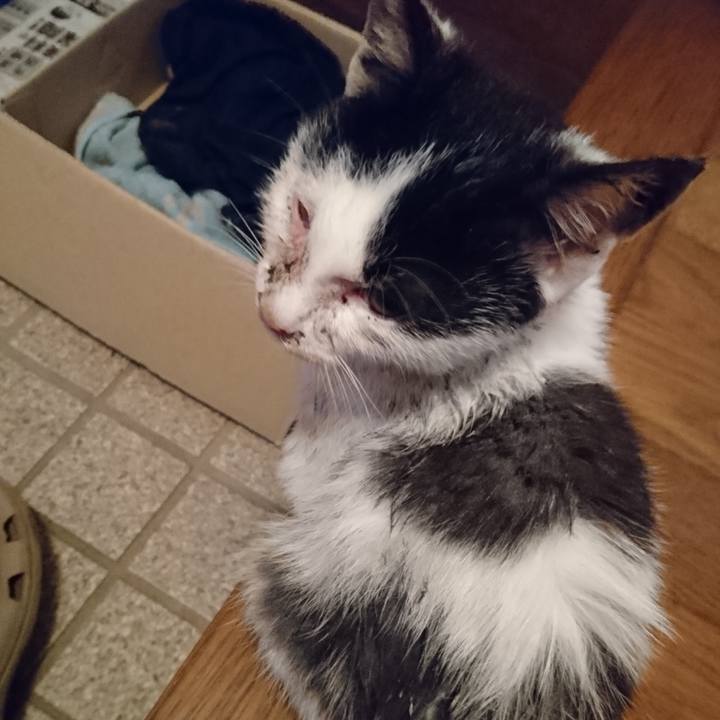 6bf98763 bd5e 4c45 89fe fda2d6f8f708 1588679474629