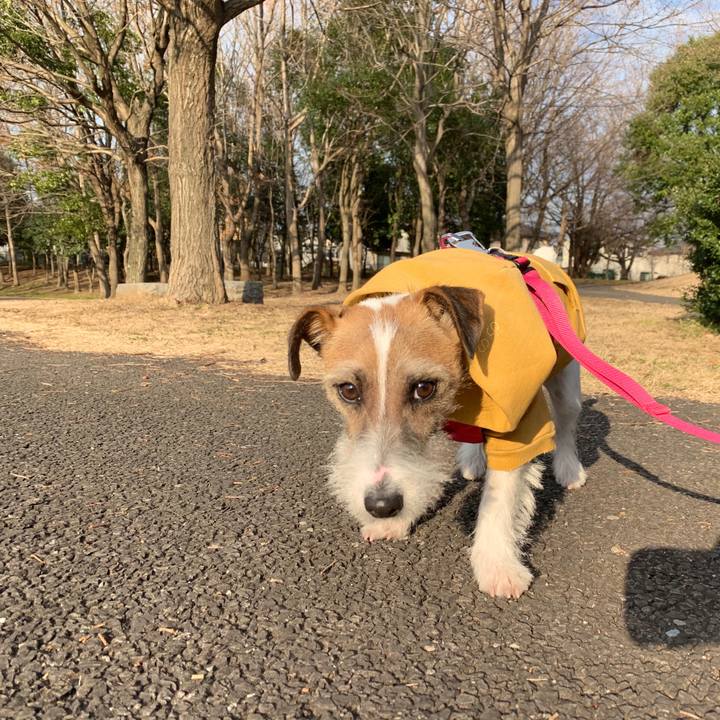 6bf9903b 2d59 4488 bf7c 2af3b36c6d95 1581493976407