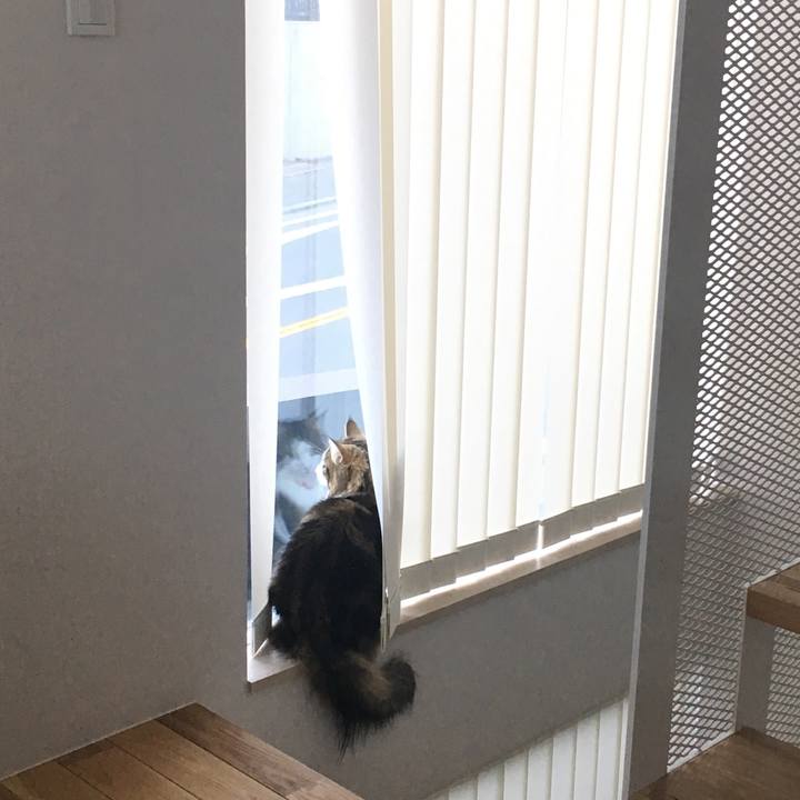 6bf9d4dd c0a4 4427 8a1c 7c7f31c488b8 1513549915463