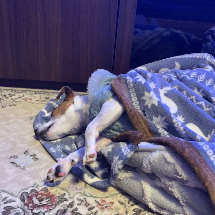 6bf9e8a9 8255 49d4 b3d2 f979cda07836 1767963589129