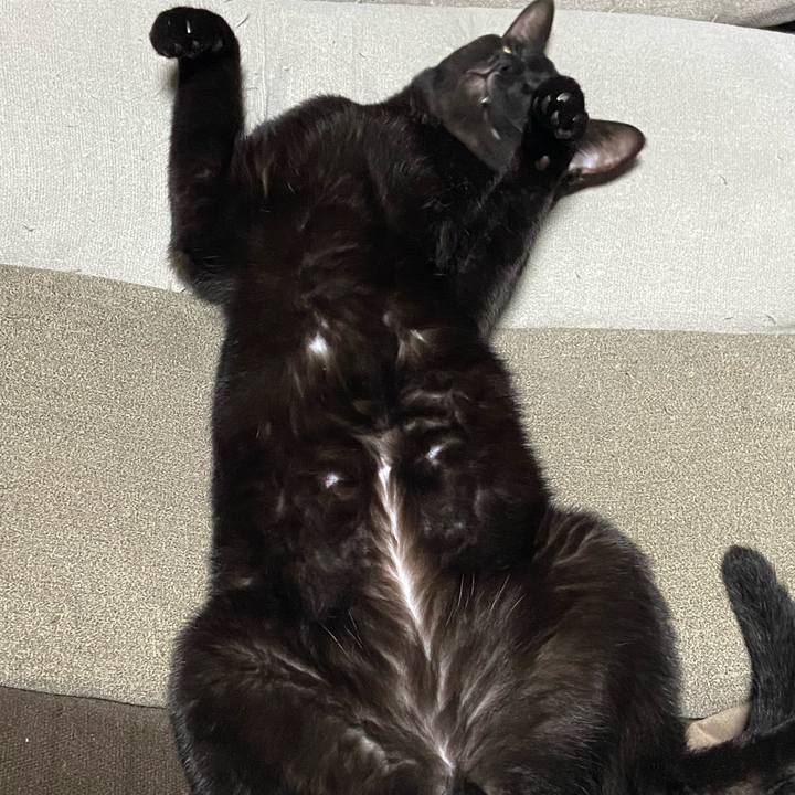 6bf9f4f2 d088 4a76 83a8 4854b299a8d0 1764073405428