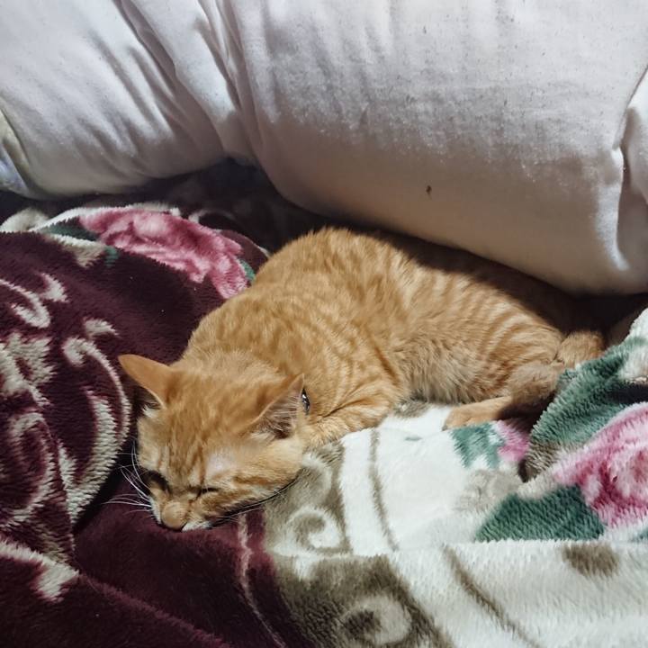 6bf9fe75 3c55 4e8e 92e9 9293279e291c 1636890685925