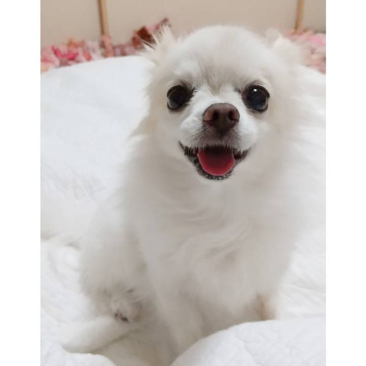 6bfa04f6 6af2 4d3d 8aaf 229e20e049db 1655671402431