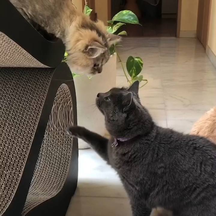 6bfa1dfb 9e4c 478c 8a53 feb4fb9f3972 1624612210339