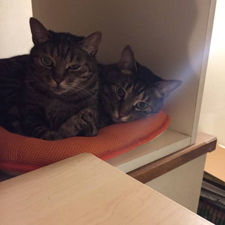 6bfa30c9 acbb 42e1 94c4 b5782bec677d 1525691991291