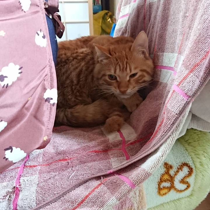 6bfa3d16 b41d 4f1f 9472 aee1431a912b 1640931431634