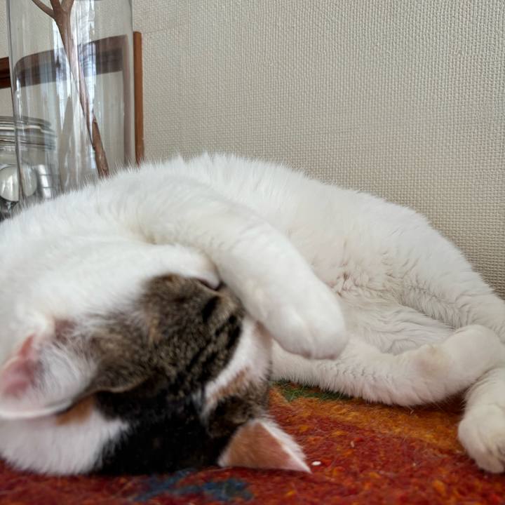 6bfa4932 c596 4a17 ab18 e0645b0e406c 1726708675949