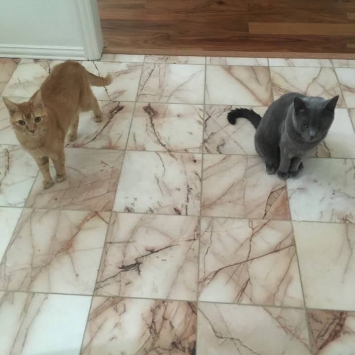 6bfa745f 75e0 44b1 b44a 44da5c6f37a2 1687826102304