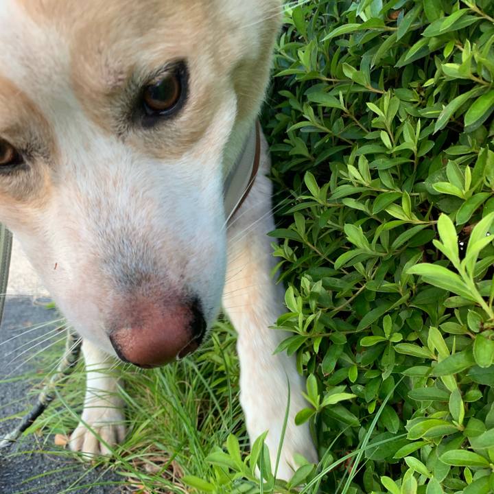 6bfa8474 4bd0 4c86 9386 3ef2427e6119 1567727204463