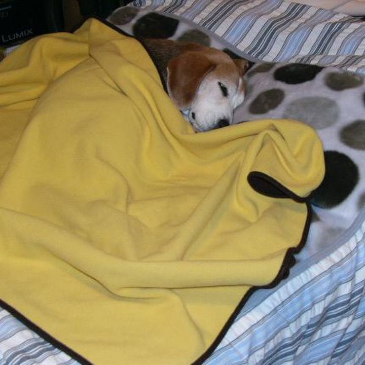 6bfa886d 49b0 48a6 a368 3c7254d01a72 1644713965604