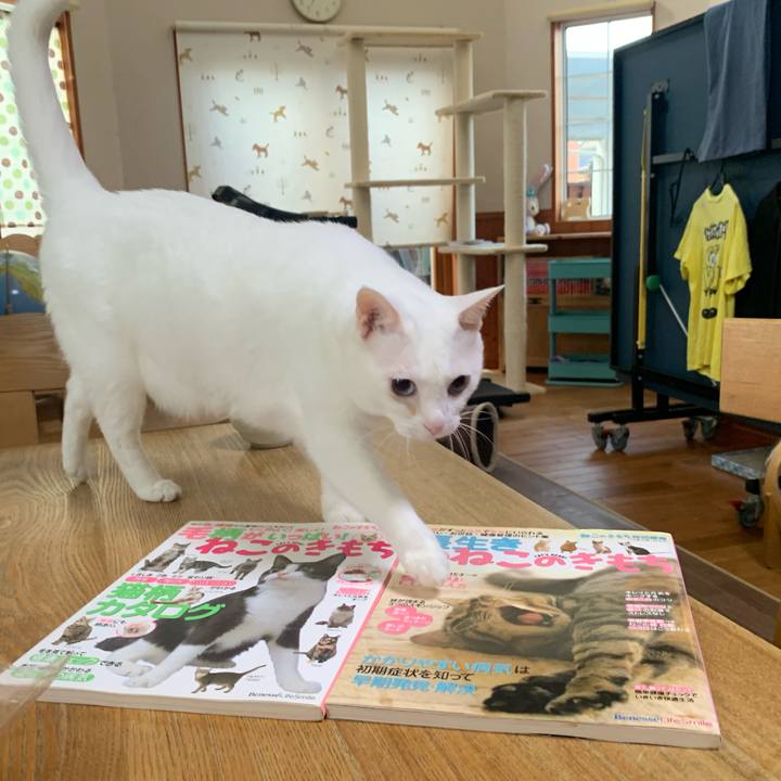 6bfa9a49 2037 4946 882f f38f48632c70 1632089291112