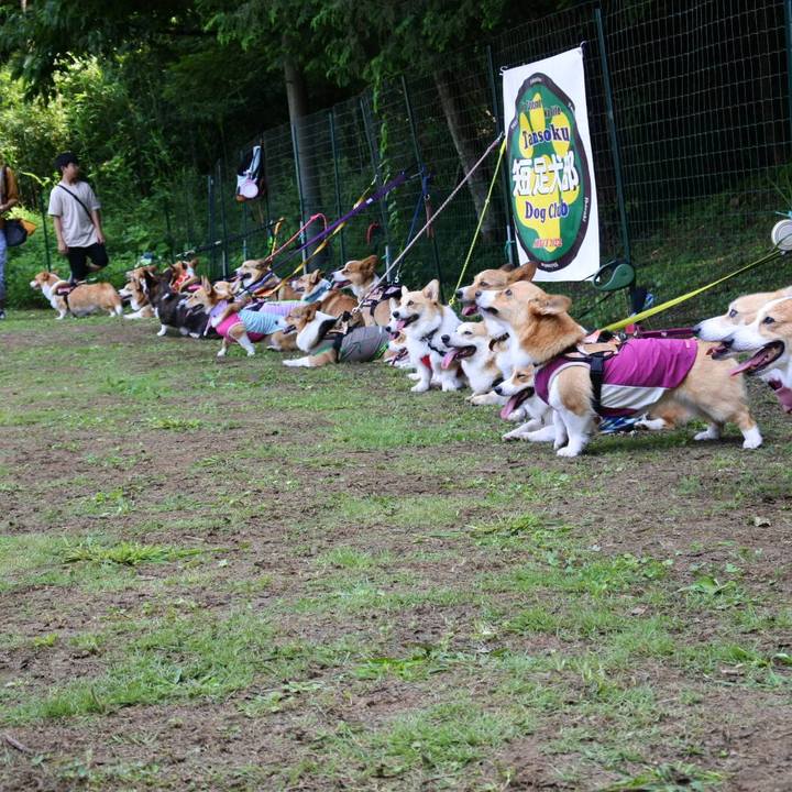 6bfab56b 11df 48b1 bfcd 819a08729e6e 1690716045911