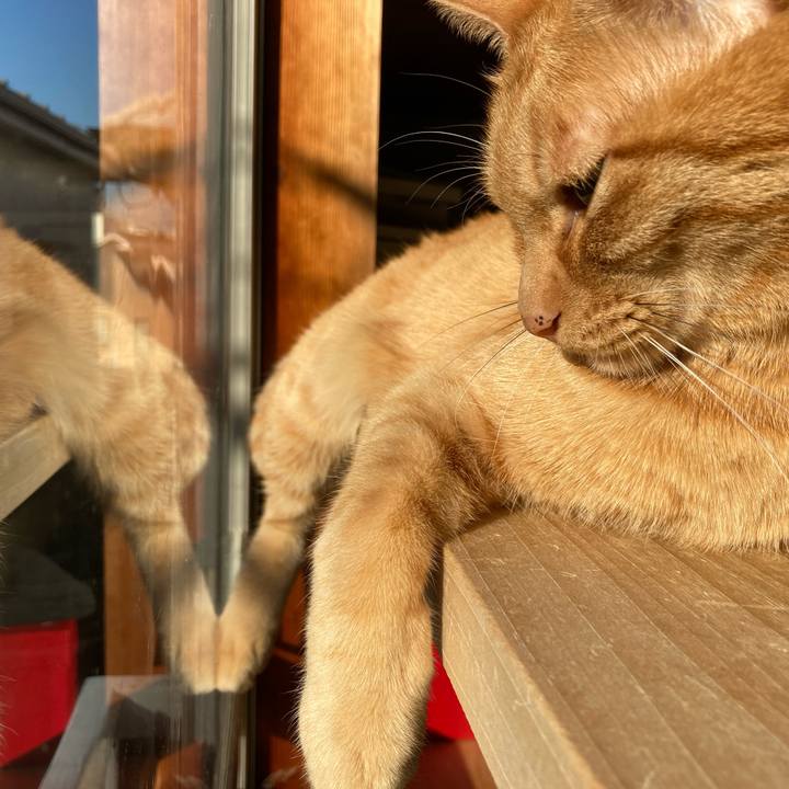 6bfad115 027e 4a4c 82a7 8bf247f091e2 1638575813816