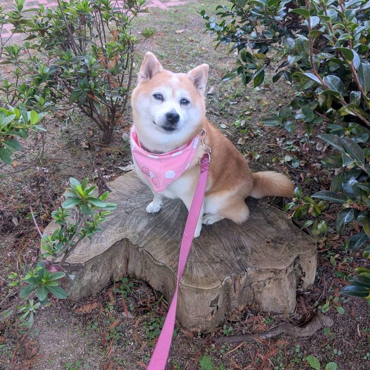 6bfafdf2 0b08 4f55 8fe3 68b78768ad11 1763297455982