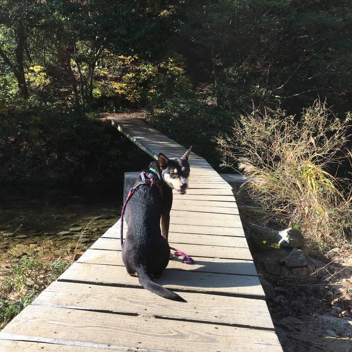 6bfb14e0 1dc4 43f0 8e8e 314bcea11937 1512085216500