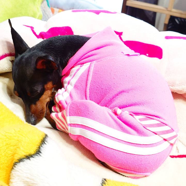 6bfb2280 acd8 4fde 8494 439dca85abe6 1759673867850