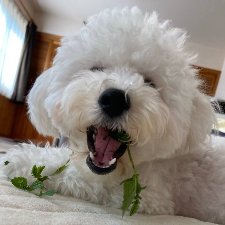 6bfb3933 5f22 46f7 90d0 e6e54c327d89 1758065179301