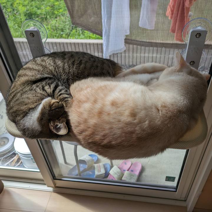 6bfb40f5 399c 4c0b 8b77 082688d61b70 1689981949365