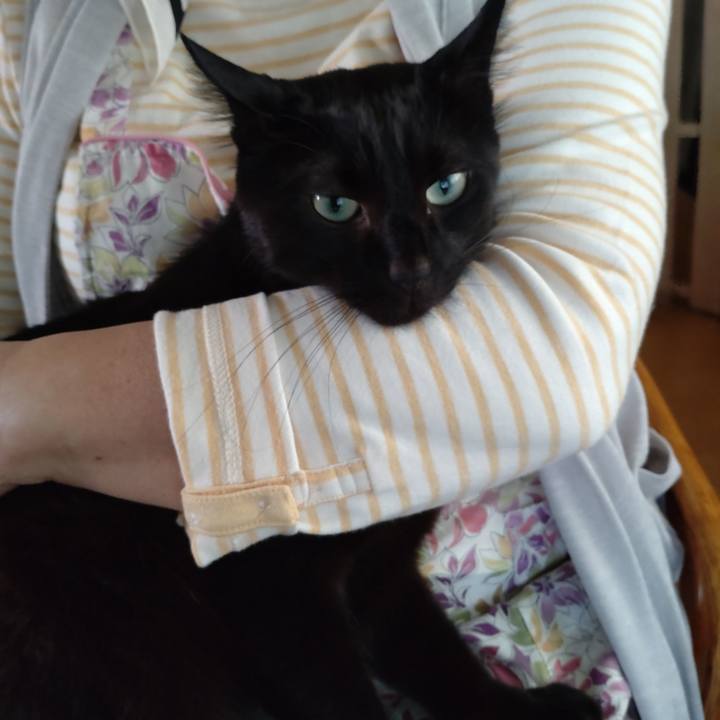 6bfb41aa 10cc 46d1 9342 5e15eb8f78eb 1632549851061