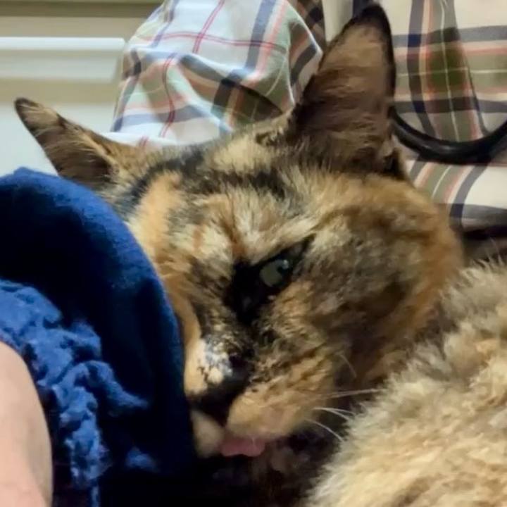 6bfb778a cabb 481b 9d37 e0d410a92be4 1731639899299