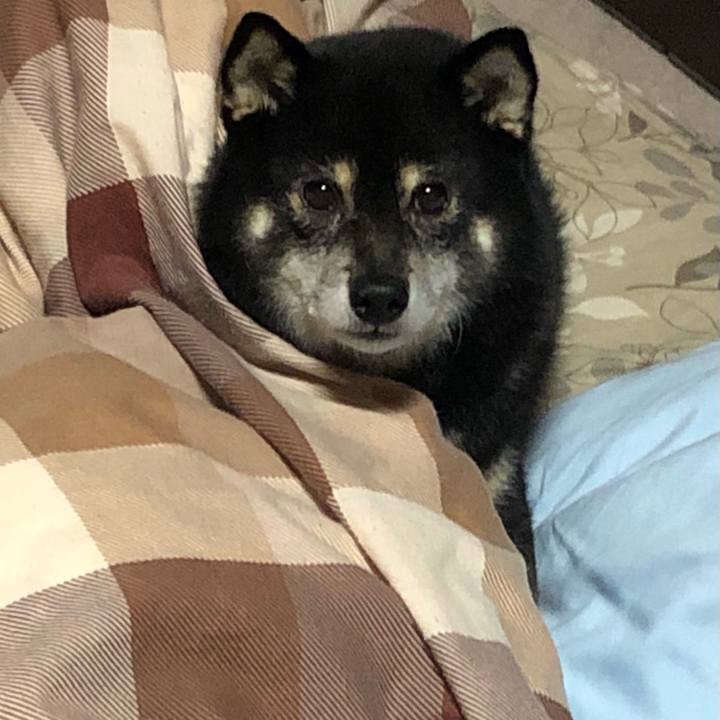 6bfb8c6b 65fe 4e21 8698 1281975b5ac0 1607304068981