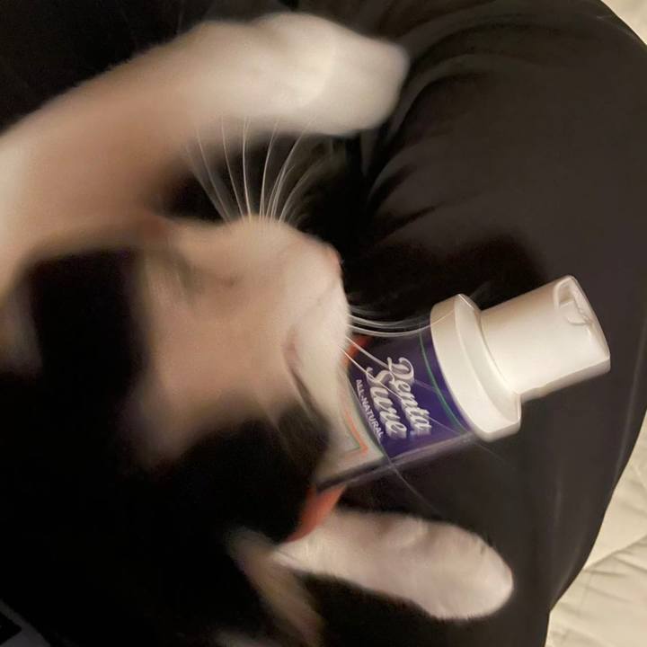 6bfba596 6326 4fee b4f6 2f9758289445 1633433617383