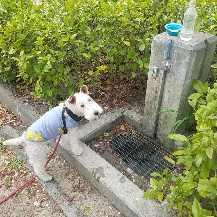 6bfba745 49c3 40e7 af34 2d20dade9a0f 1587283937843