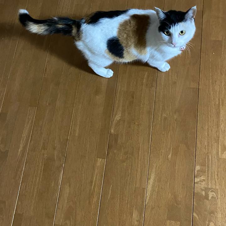 6bfbaf7f 96cf 41f0 956b 753bb4817269 1643578231146