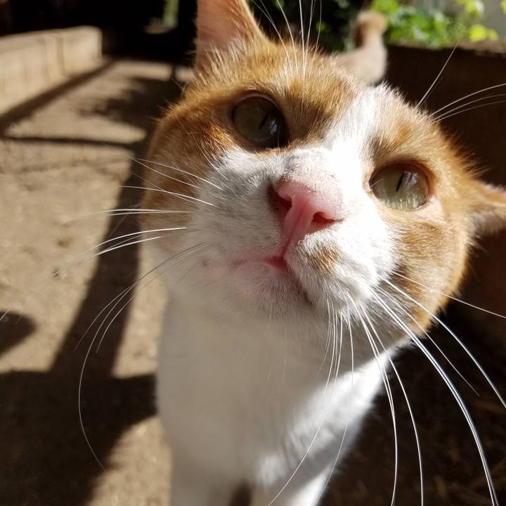 6bfbc528 28b3 4178 96a3 2768d23e6e57 1570585563737