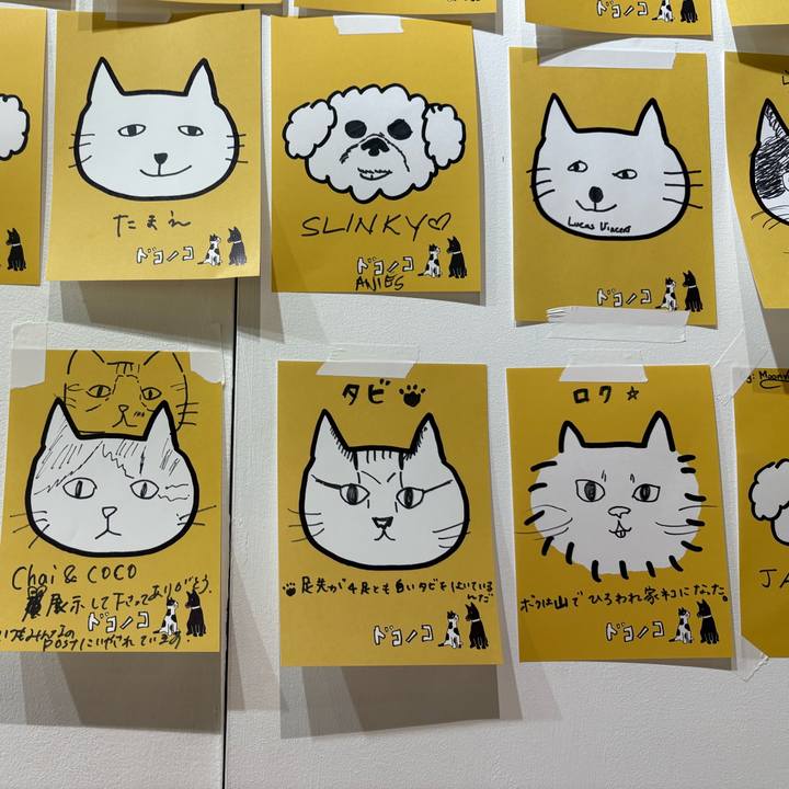 6bfc1e53 ba3a 4d4b 9a93 37ebc861a555 1761744157797