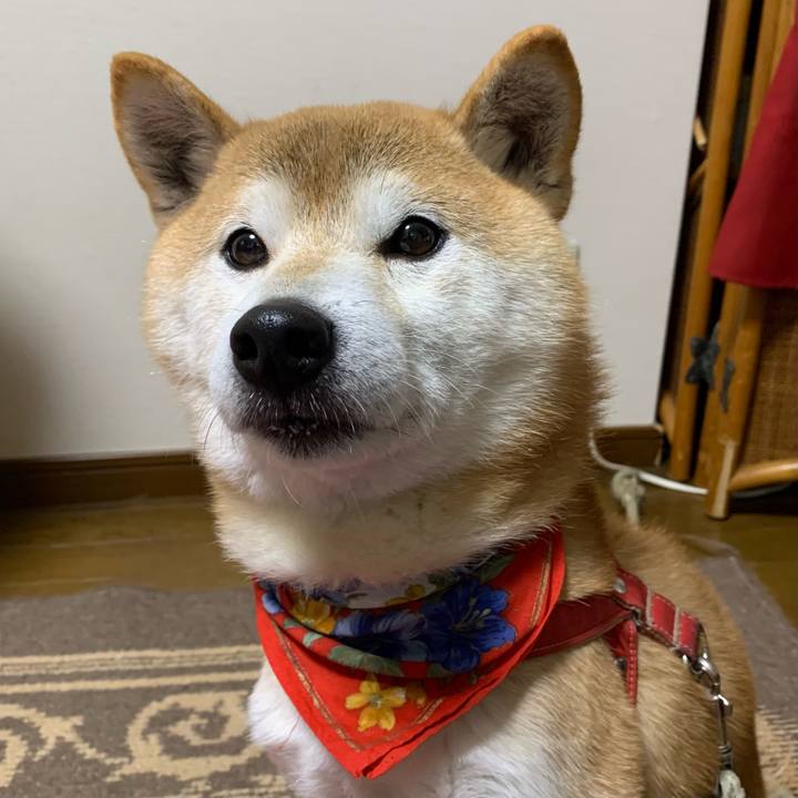 6bfc898a 0300 4852 92f6 d54c98e58366 1611133296444