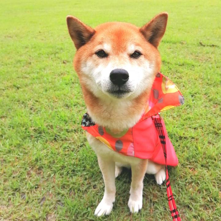 6bfce803 0cac 4b85 ad48 8bc94580f275 1686276543866