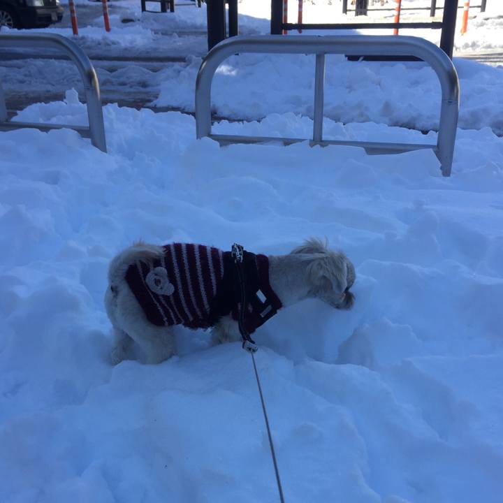 6bfd07c9 43f1 4b57 b724 f0e8940de298 1516795044935