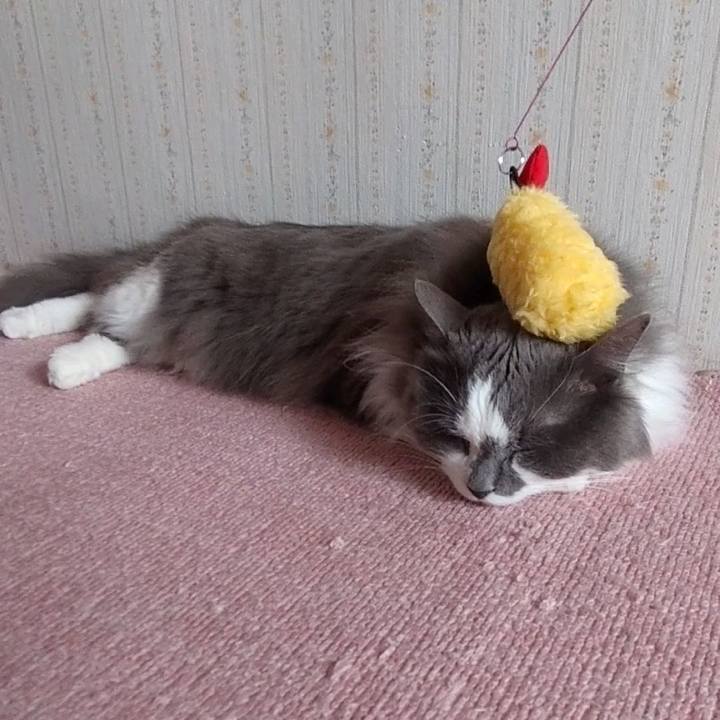 6bfd448d 5db7 44cc 85b9 cfdc1ce842fc 1682230089259