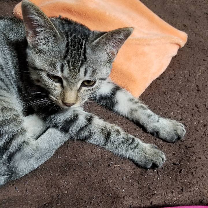 6bfd4c8b 5f00 410f 9e95 dbeb516cf489 1667911664031