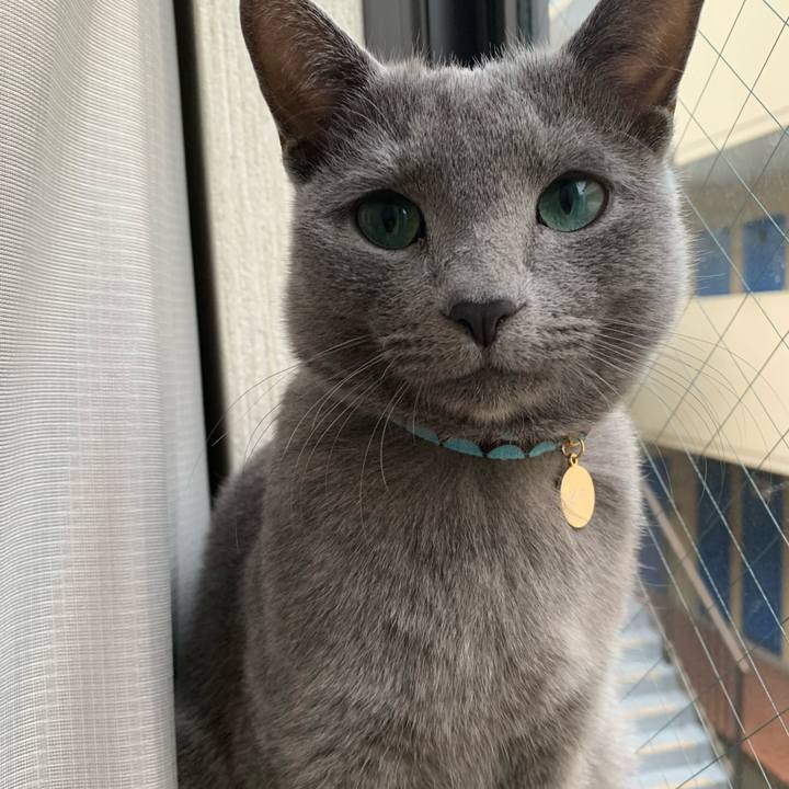 6bfda797 cfad 42f0 99d9 9806d4db6ad7 1579043053990