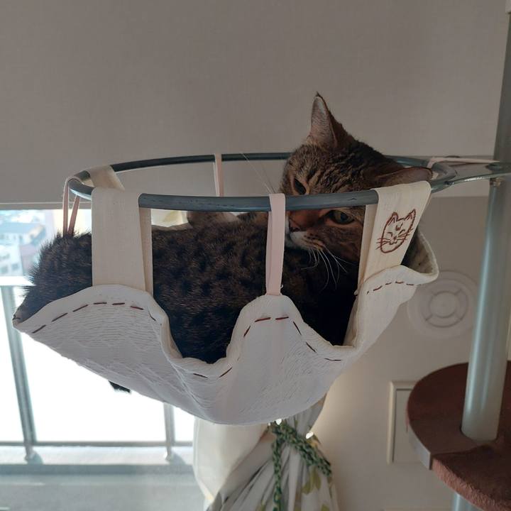 6bfdb3d6 0526 490f b819 2c4117161f4a 1667773331317