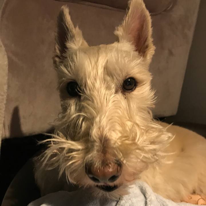 6bfdb713 b87c 4f5d 9960 41f09379ddbb 1582471729264